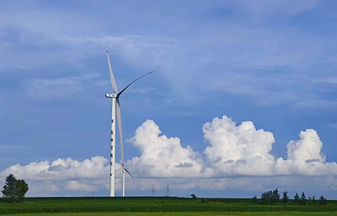 吉林省通榆縣600MW風電項目