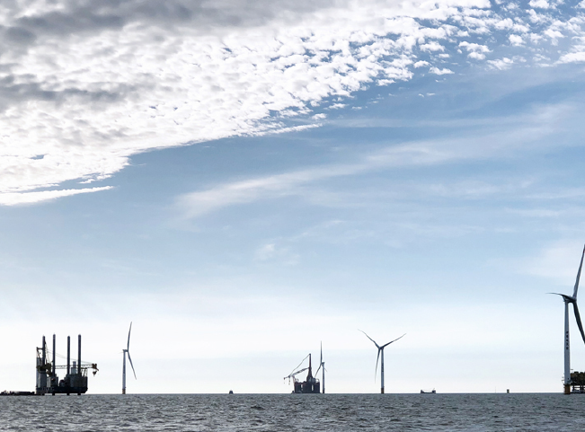 03. 廣東湛江外羅項目.png