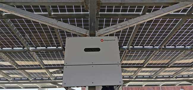 1676877234231134Z8L7.jpg 弄潮正當(dāng)時(shí)|禾望光伏助力惠州經(jīng)濟(jì)增長 (2).jpg