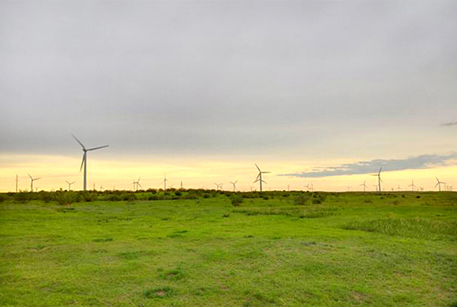 1676879761658797vBfi.jpg 內蒙古深能源義和風電場(一期)100臺東汽機組涉網特性改造項目順利完成(1).jpg