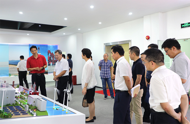 深圳市領導一行到訪禾望開展掛點服務企業活動 (1).jpg