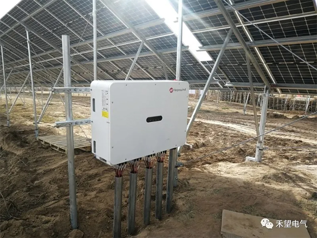 16768888511835410pB8.jpg 綠水青山帶笑顏 禾望電氣助力山西大同快速發展林業光伏 (3).jpg