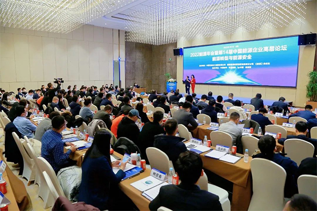 斬獲多項大獎 禾望電氣在新能源領域高質量發展 (1).jpg