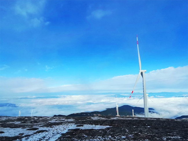 踐行ESG  禾望榮獲綠色可持續發展貢獻獎 (4).jpg