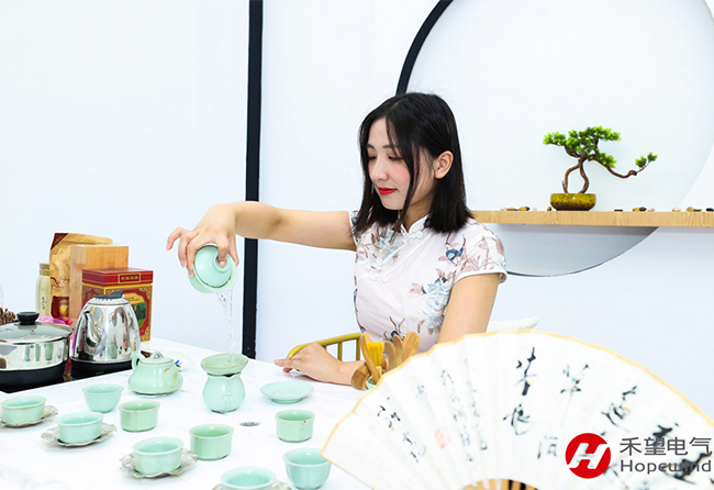 大放光彩，禾望驚艷2021上海光伏展 (4).jpg