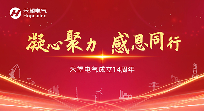 凝心聚力 感恩同行  禾望電氣成立14周年 (1).jpg
