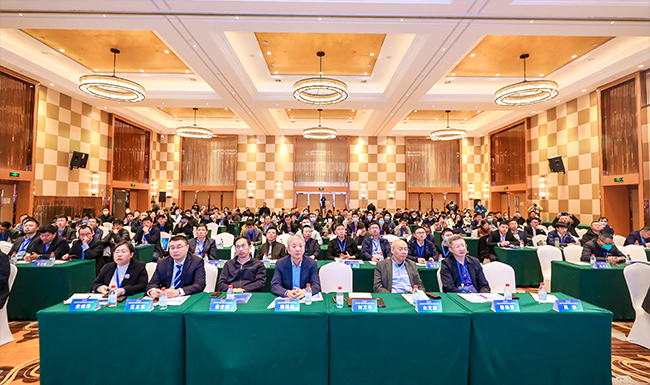 1678070689611588AUUe.jpg 1.jpg