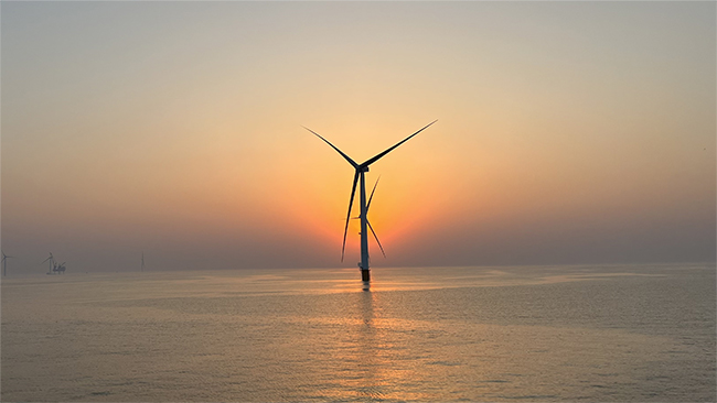 1687310070880401gJyY.jpg 3.jpg