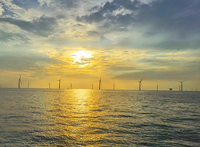 1700099507968874HI4O.png 3.png