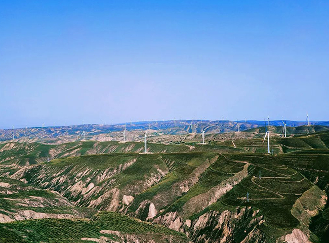 1704866799859675uMKu.jpg 6..jpg