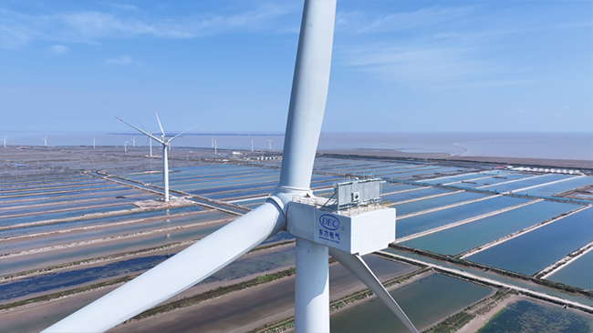 1763694930878295miBC.jpg 2.jpg